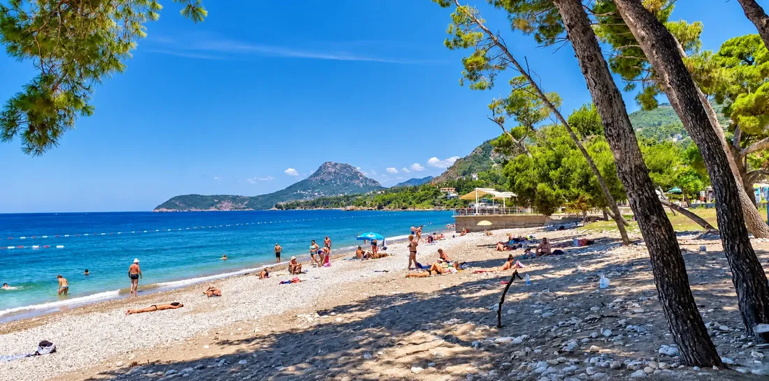 Plaža Bara u senci borova
